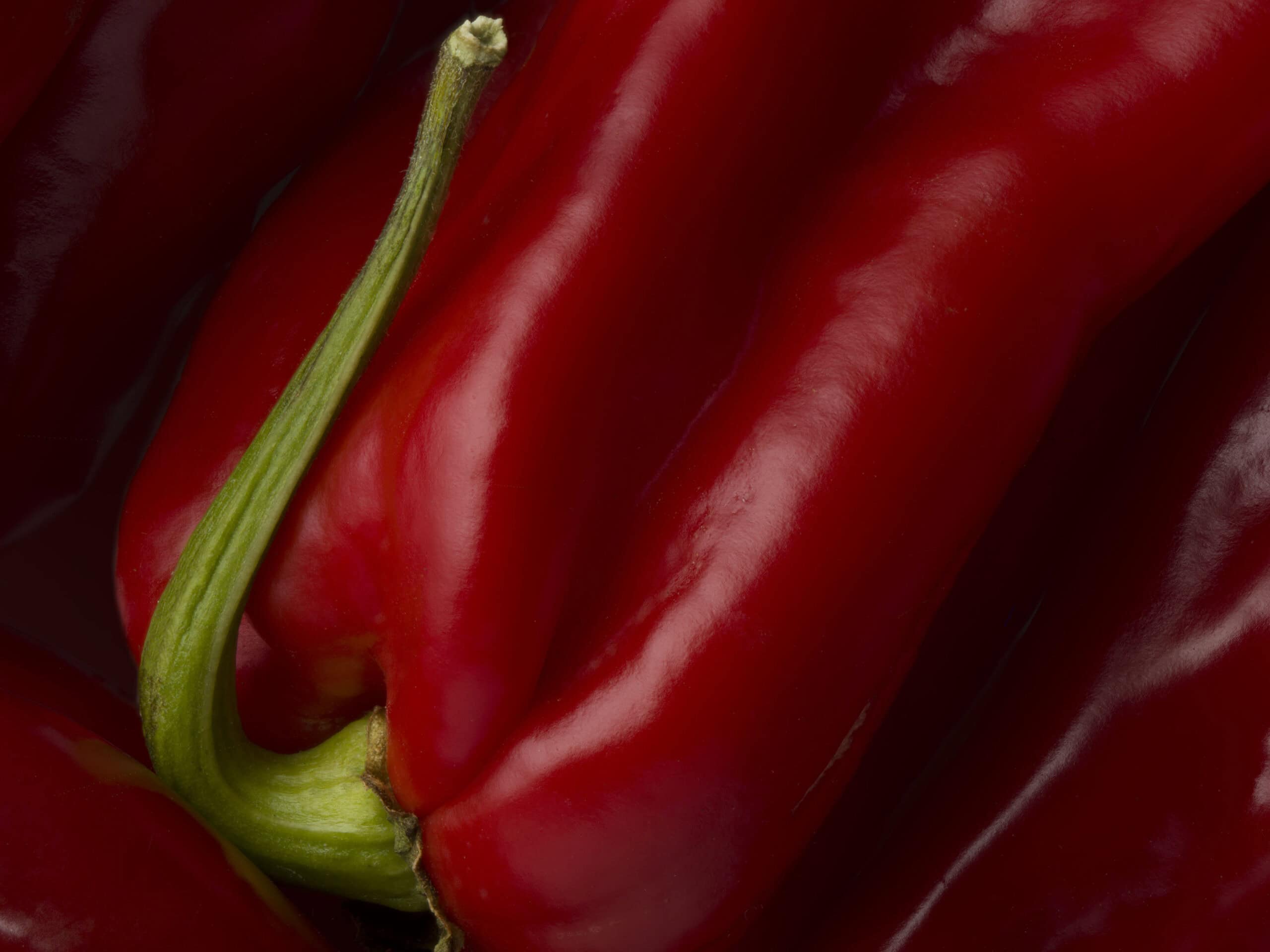 Macro image of a red chilli peppers