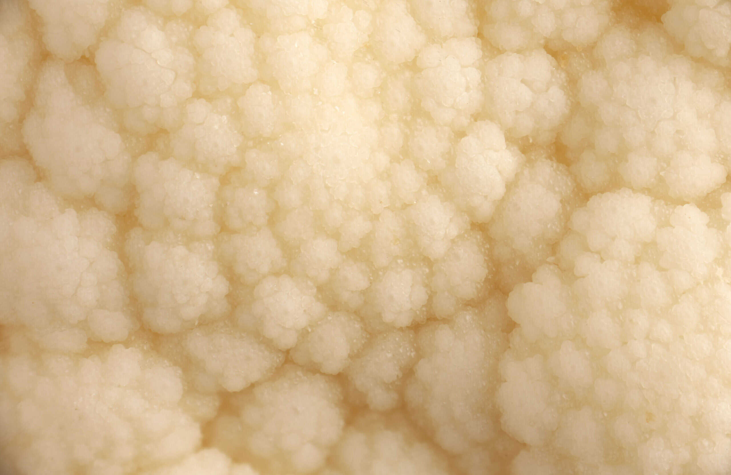Macro image of a cauliflower