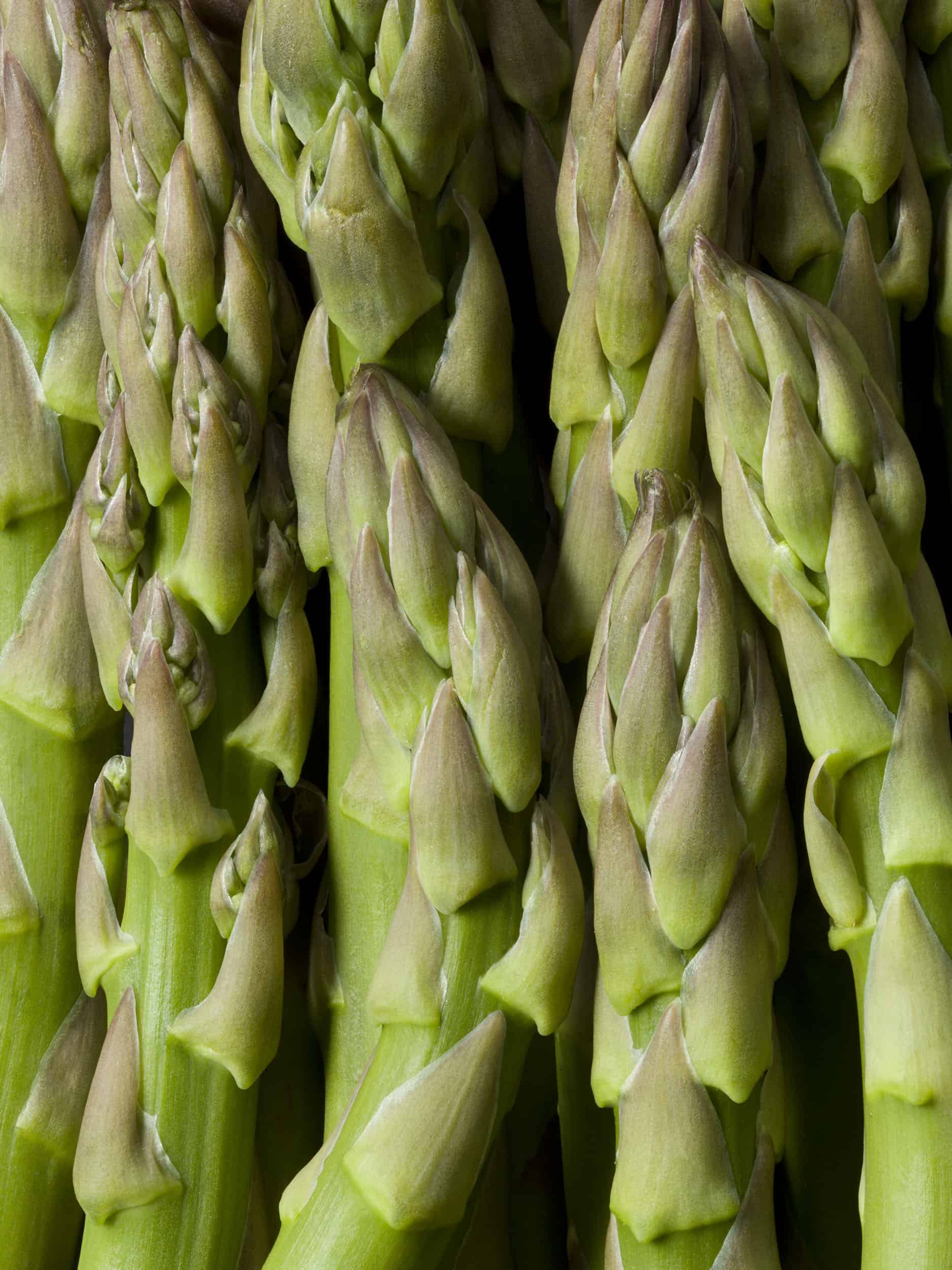 Macro image of asparagus by food photographer Jonathan Knowles
