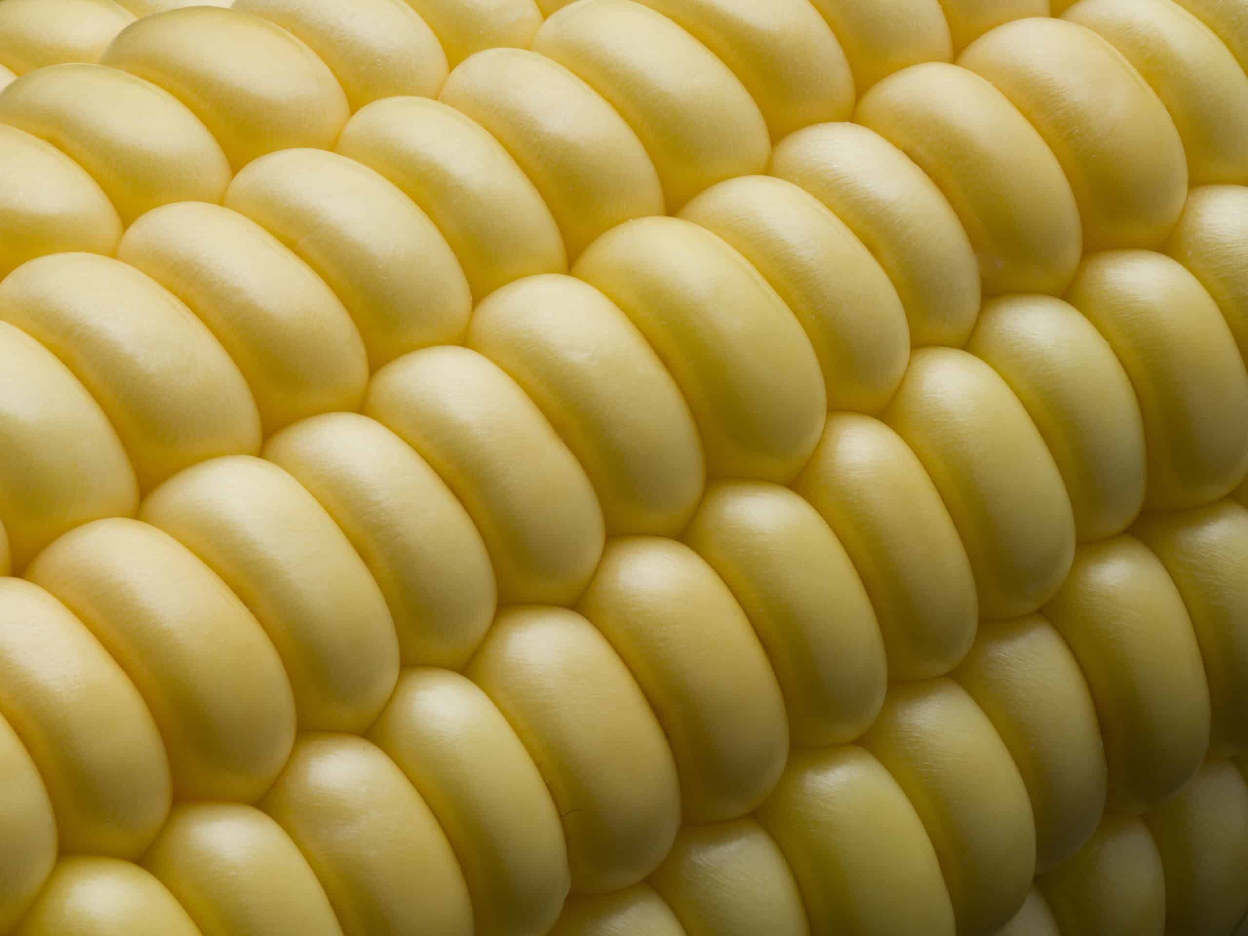 Macro image of a corn on the cob as part of Jonathan Knowles macro food photography series