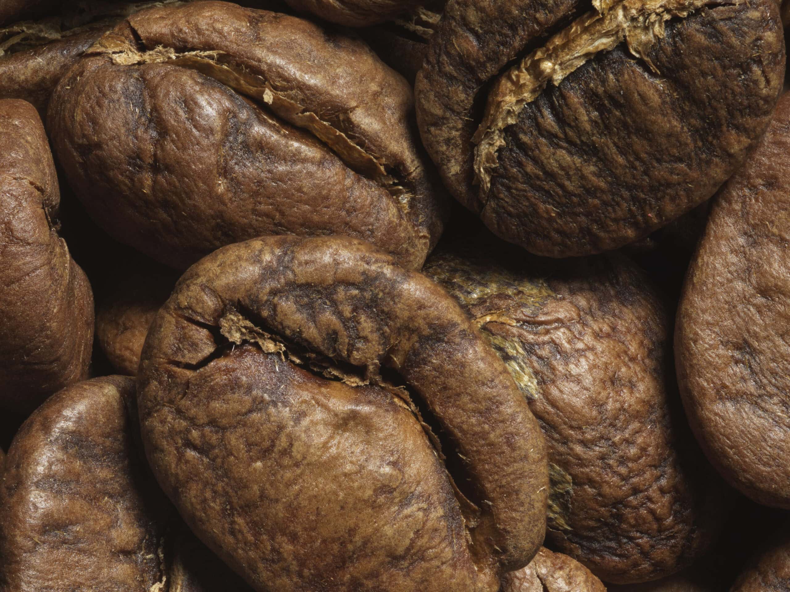 Macro image of coffee beans