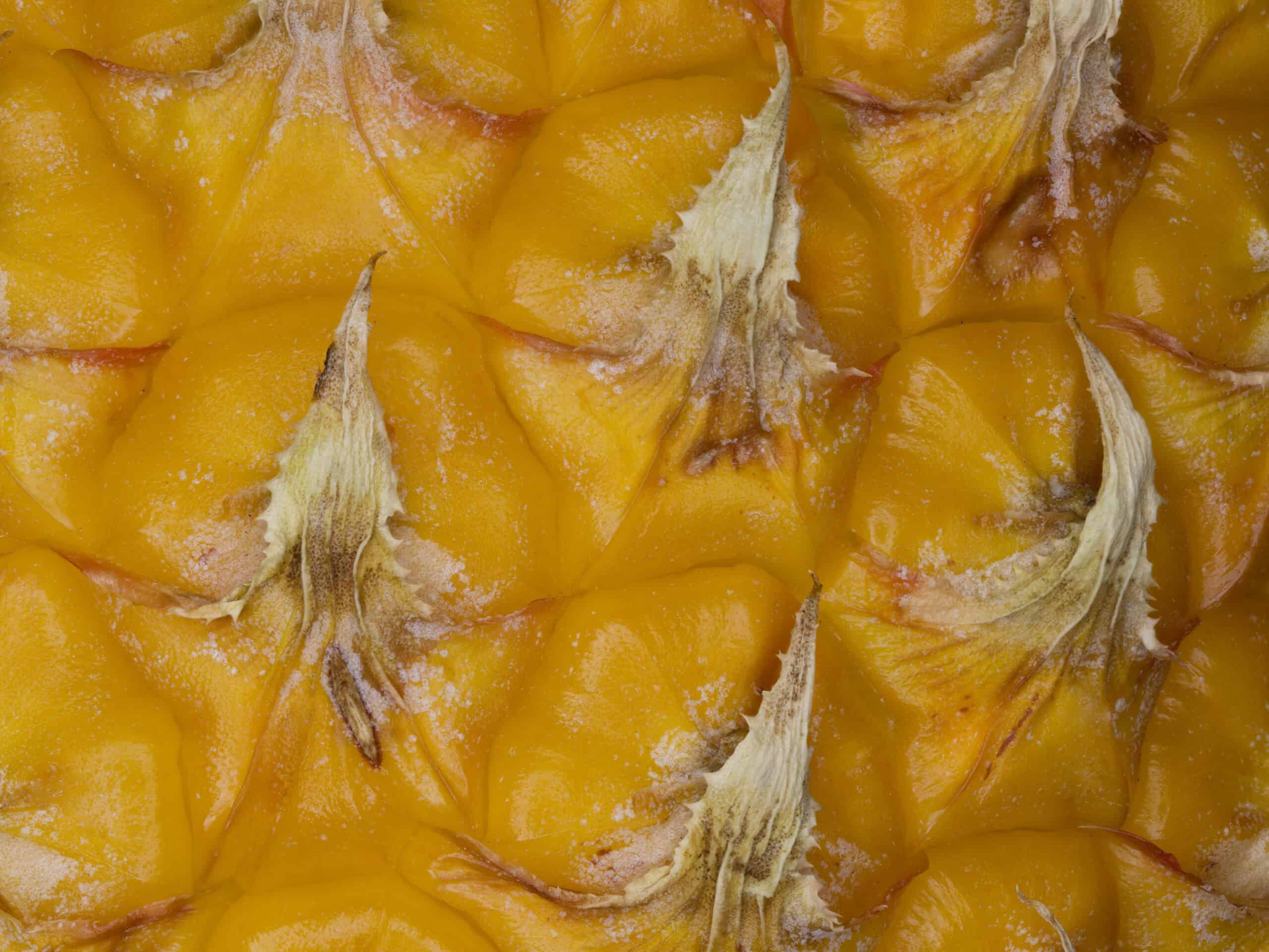 Macro image of a pineapple