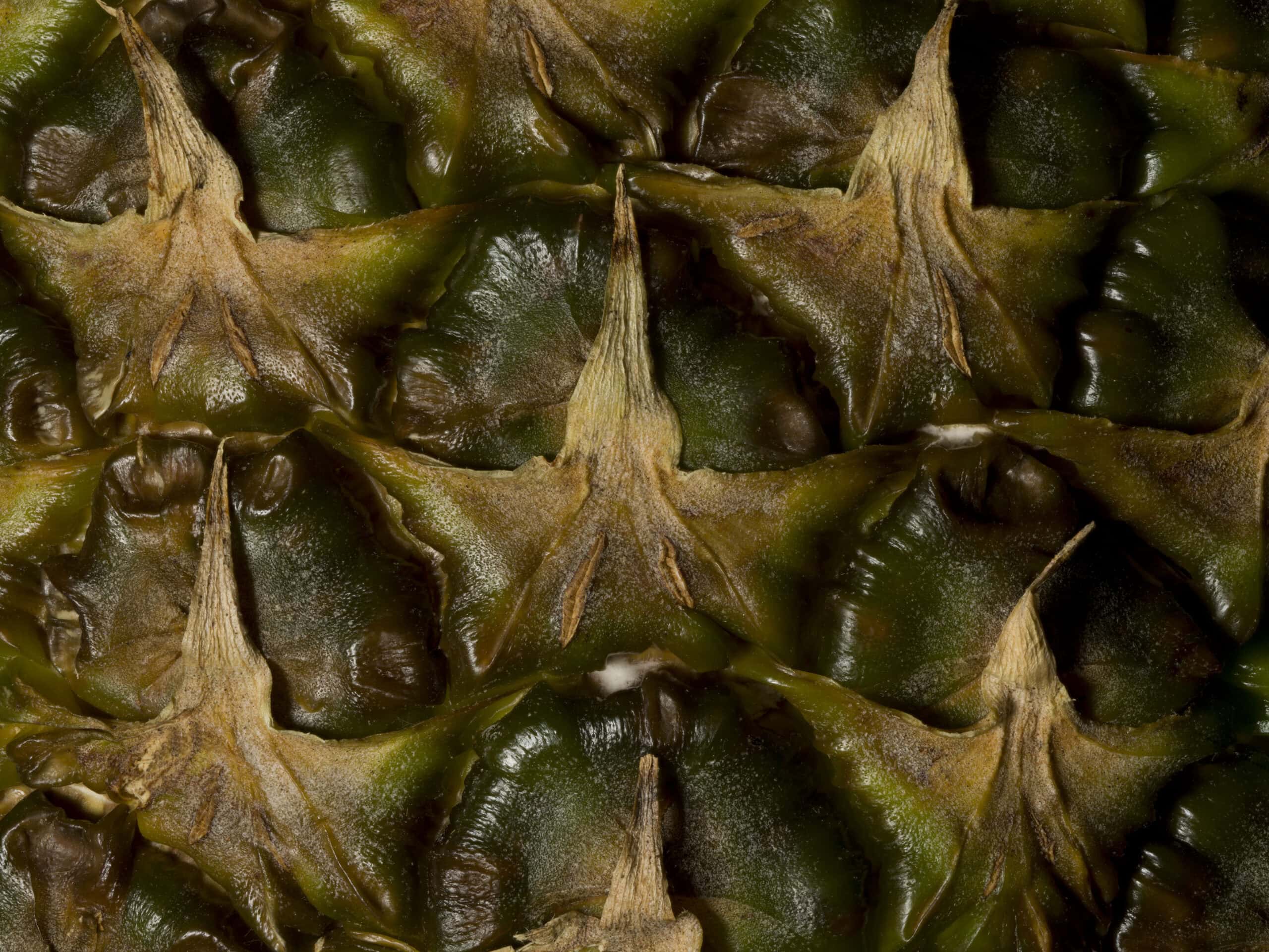 Macro image of a pineapple