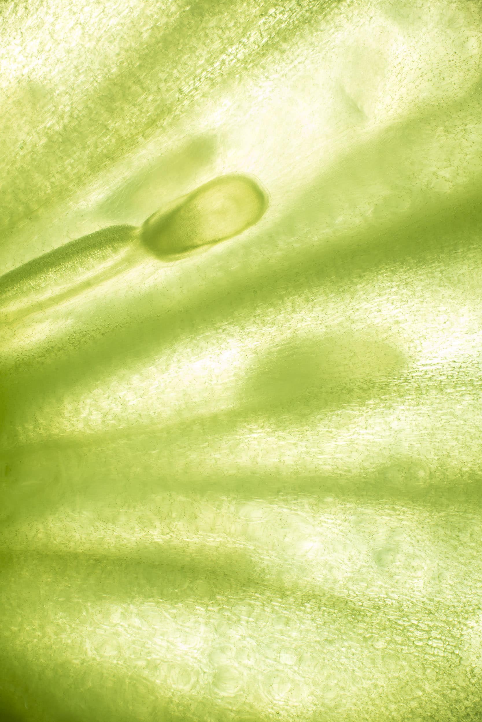 Macro image of a slice of cucumber by food photographer Jonathan Knowles