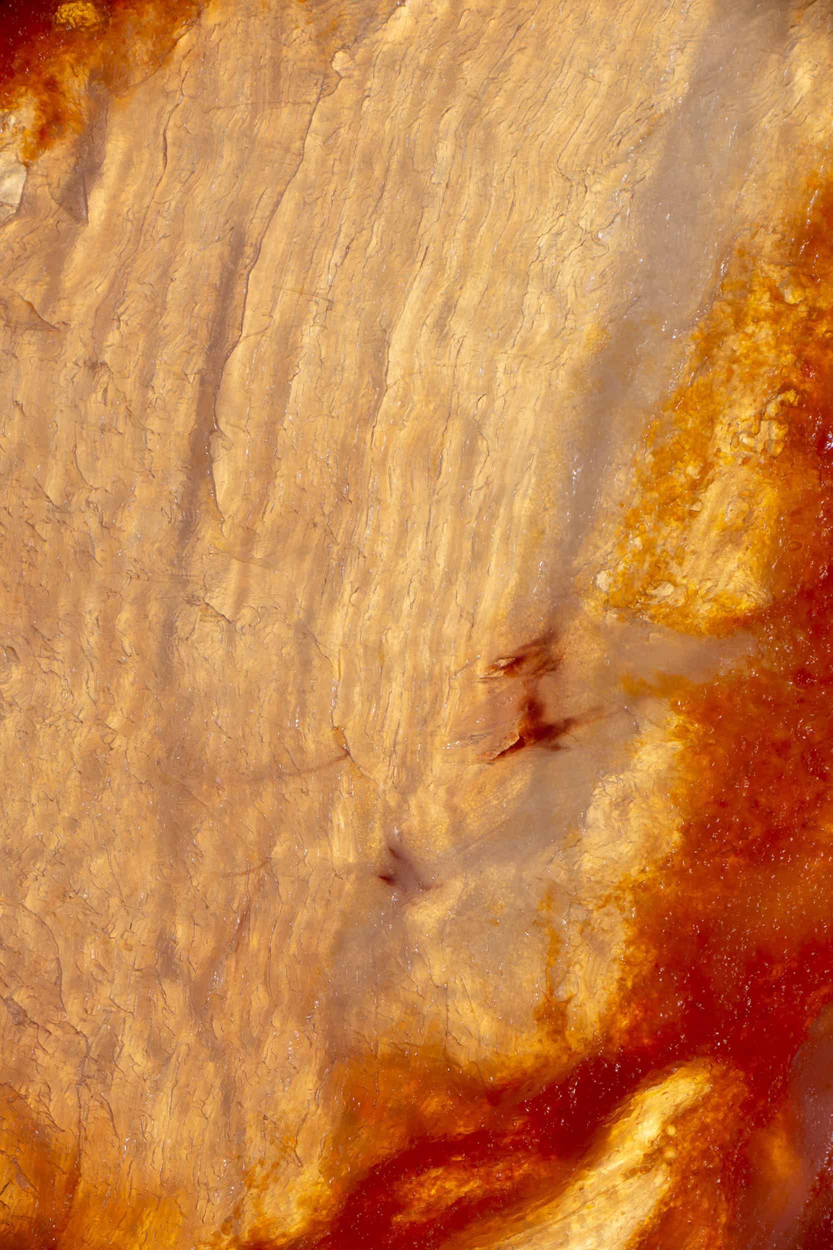 Macro image of a Salami slice taken by London food photographer Jonathan Knowles