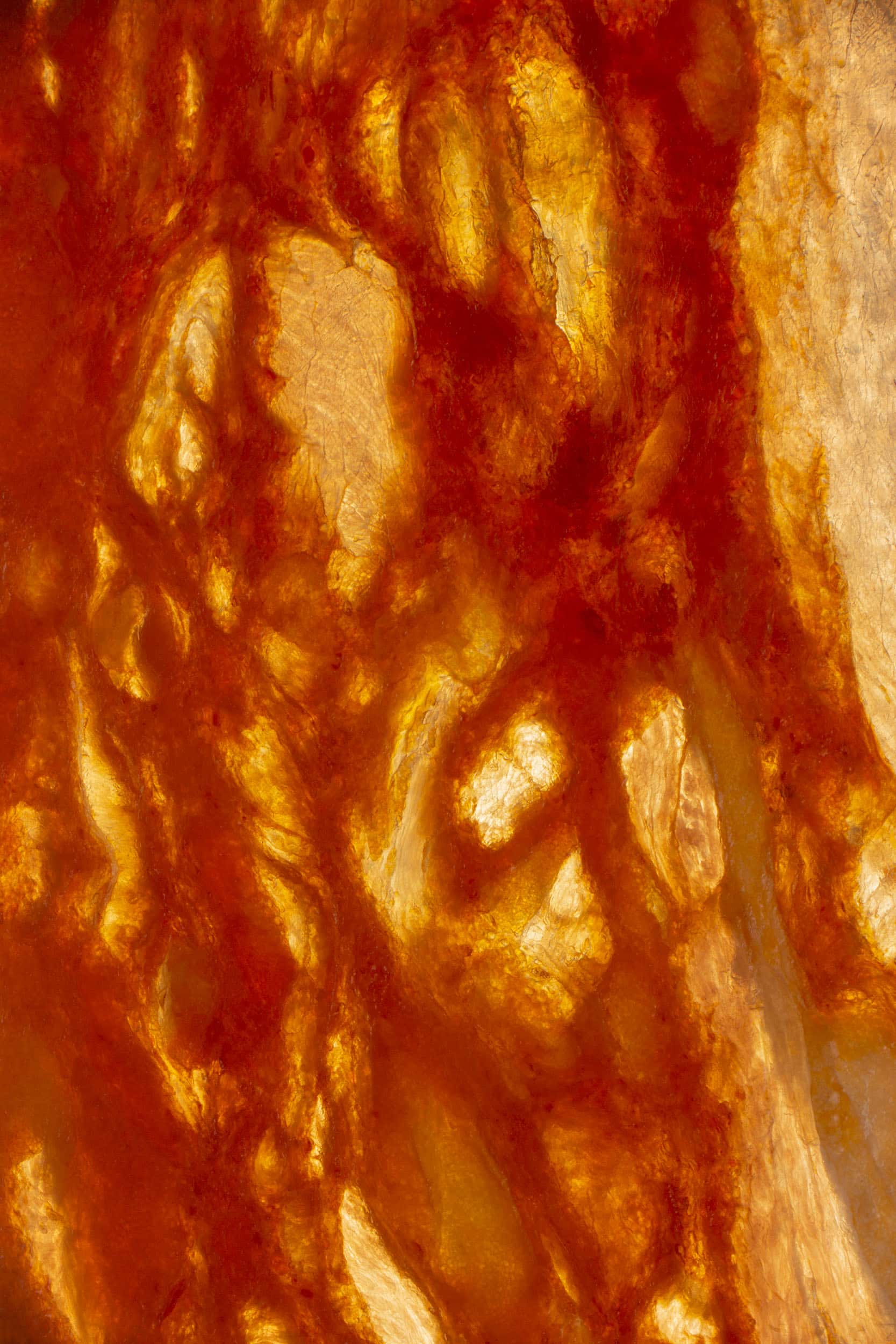 Macro image of a Salami taken by macro food photographer Jonathan Knowles