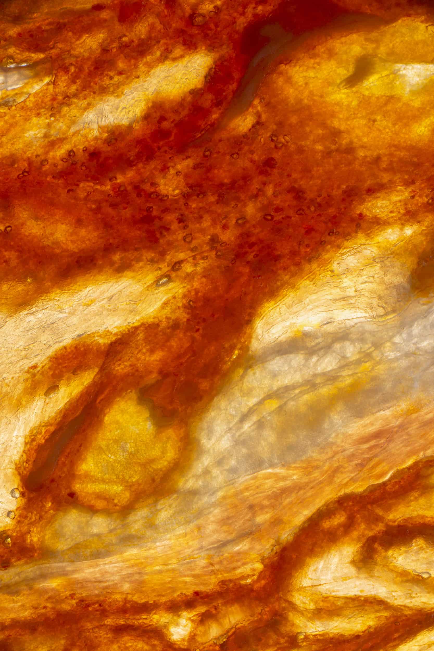 Macro image of a Salami slice taken by food photographer Jonathan Knowles