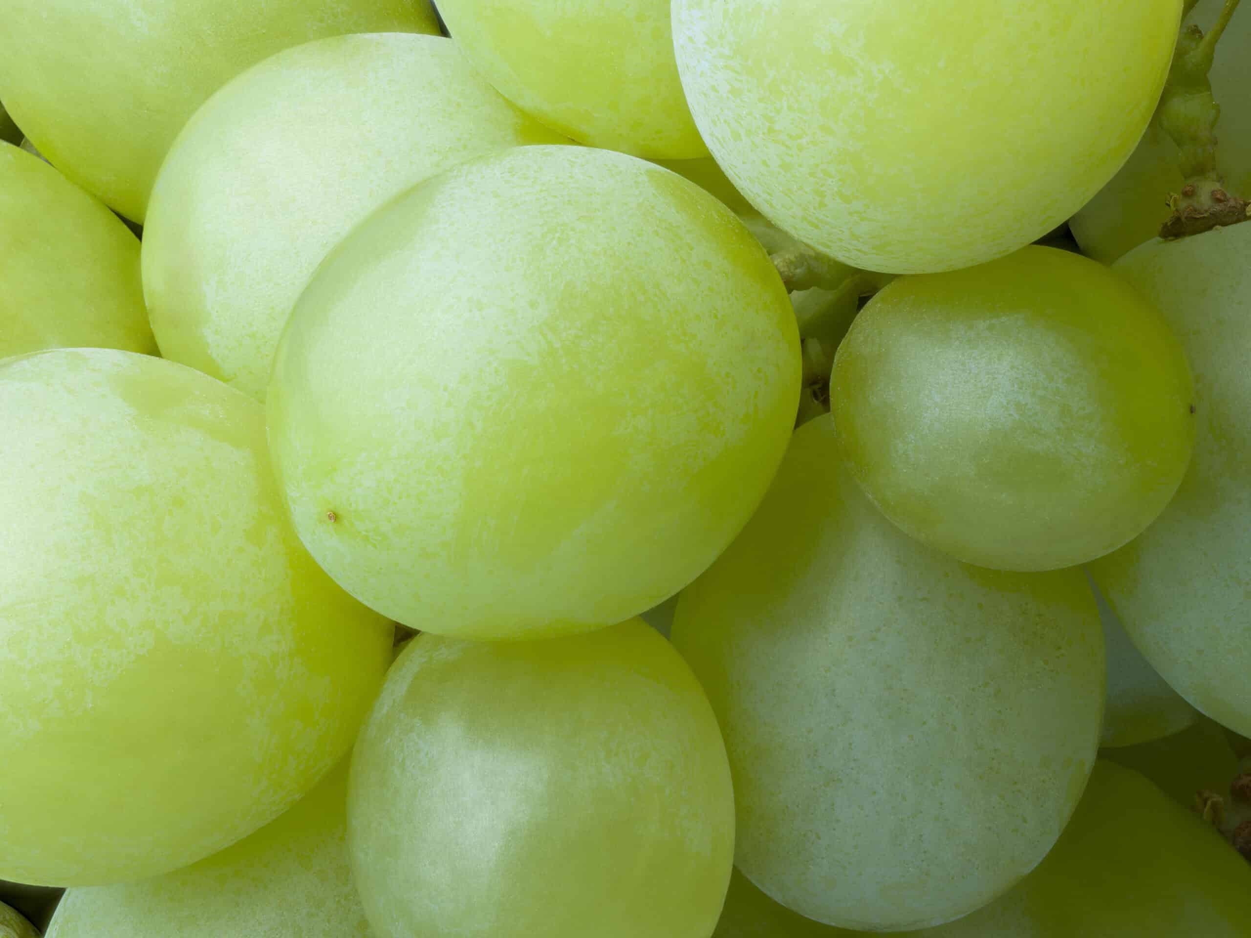 Macro image of a bunch of white grapes