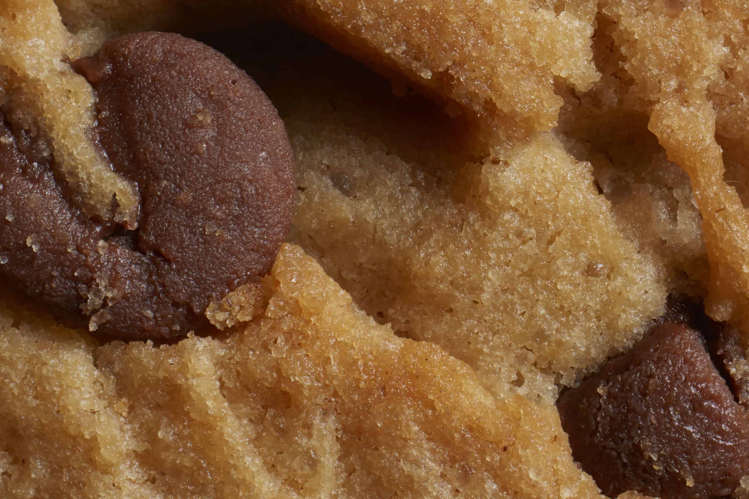 Macro image of a chocolate chip cookie