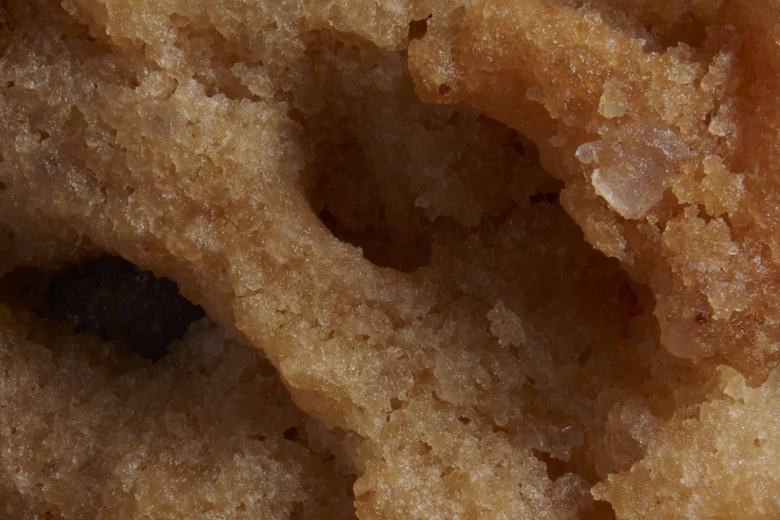 Macro image of a chocolate chip cookie