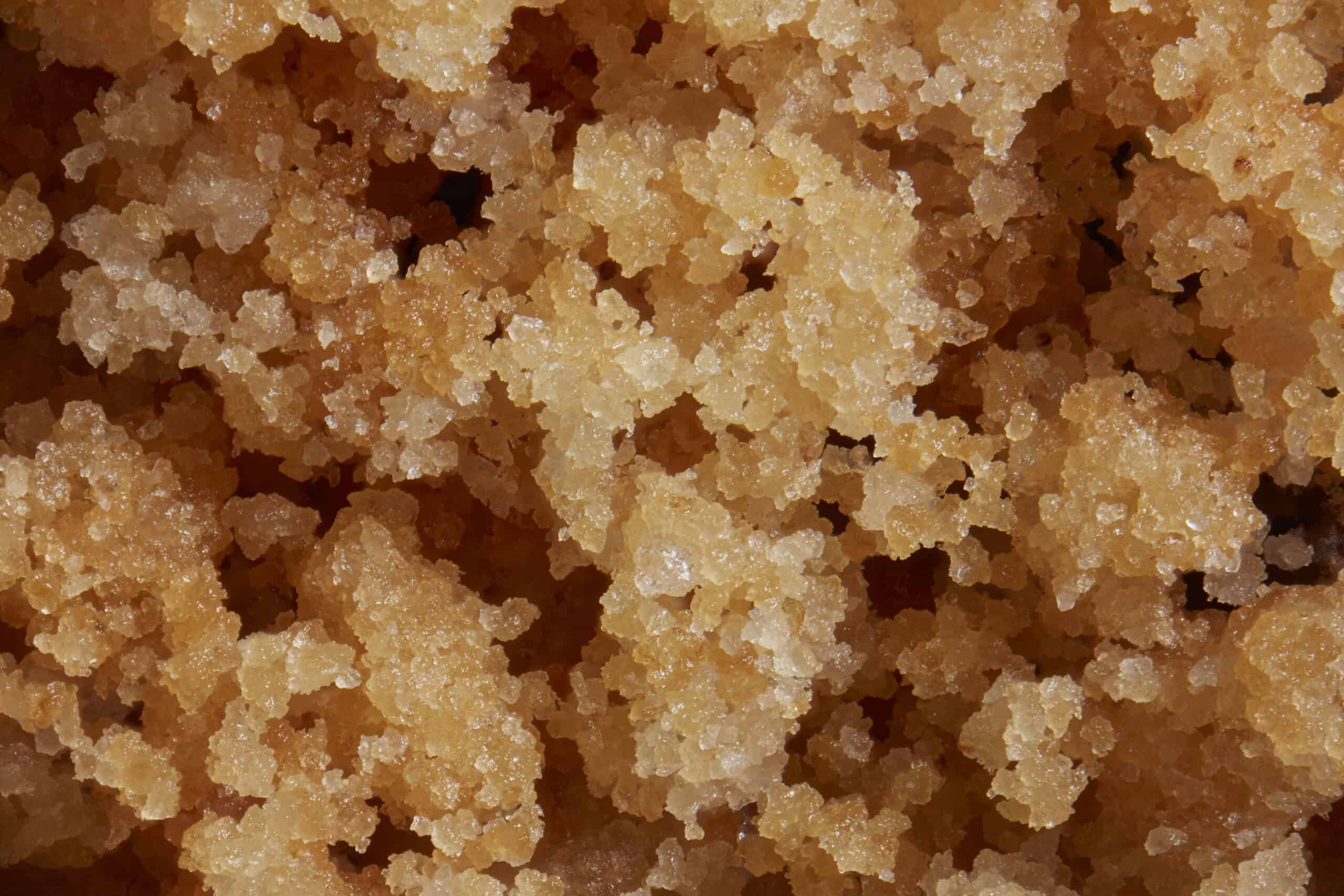 Macro image of a chocolate chip cookie