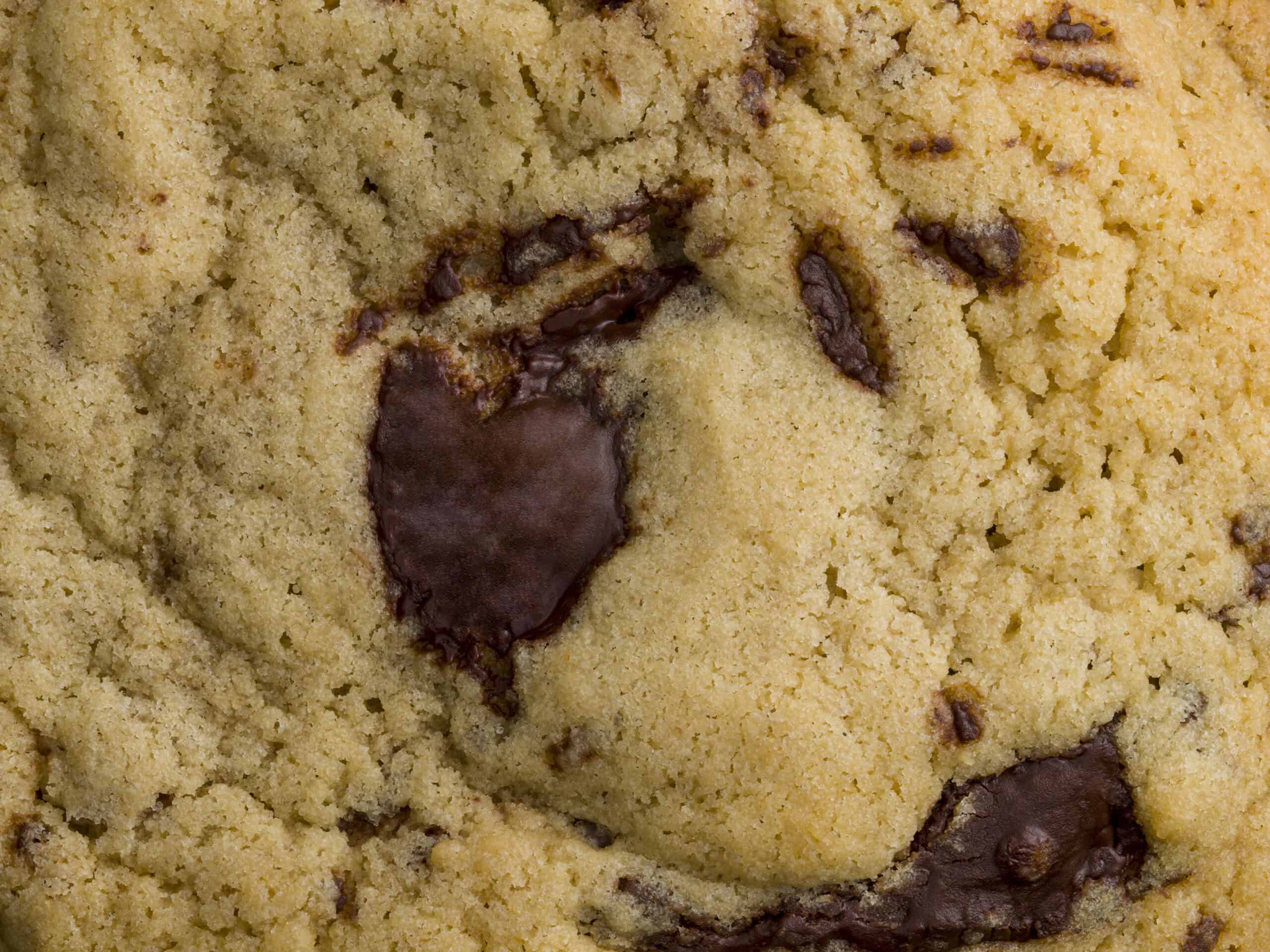 Macro image of a chocolate chip cookie by food photographer Jonathan Knowles
