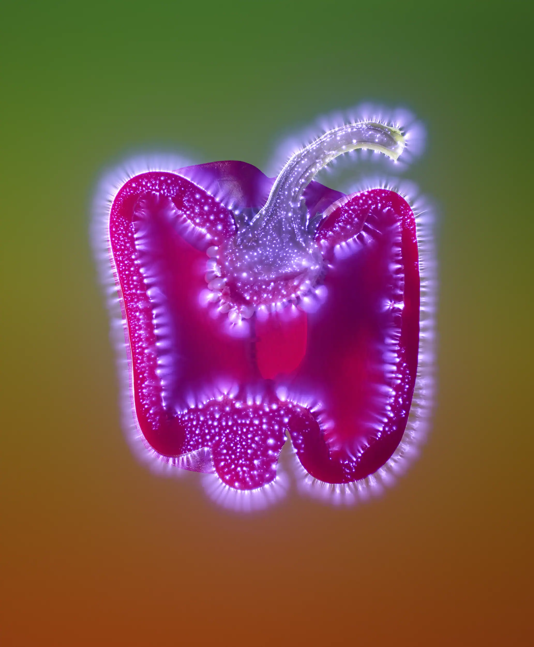 Kirlian Photography by food photographer Jonathan Knowles