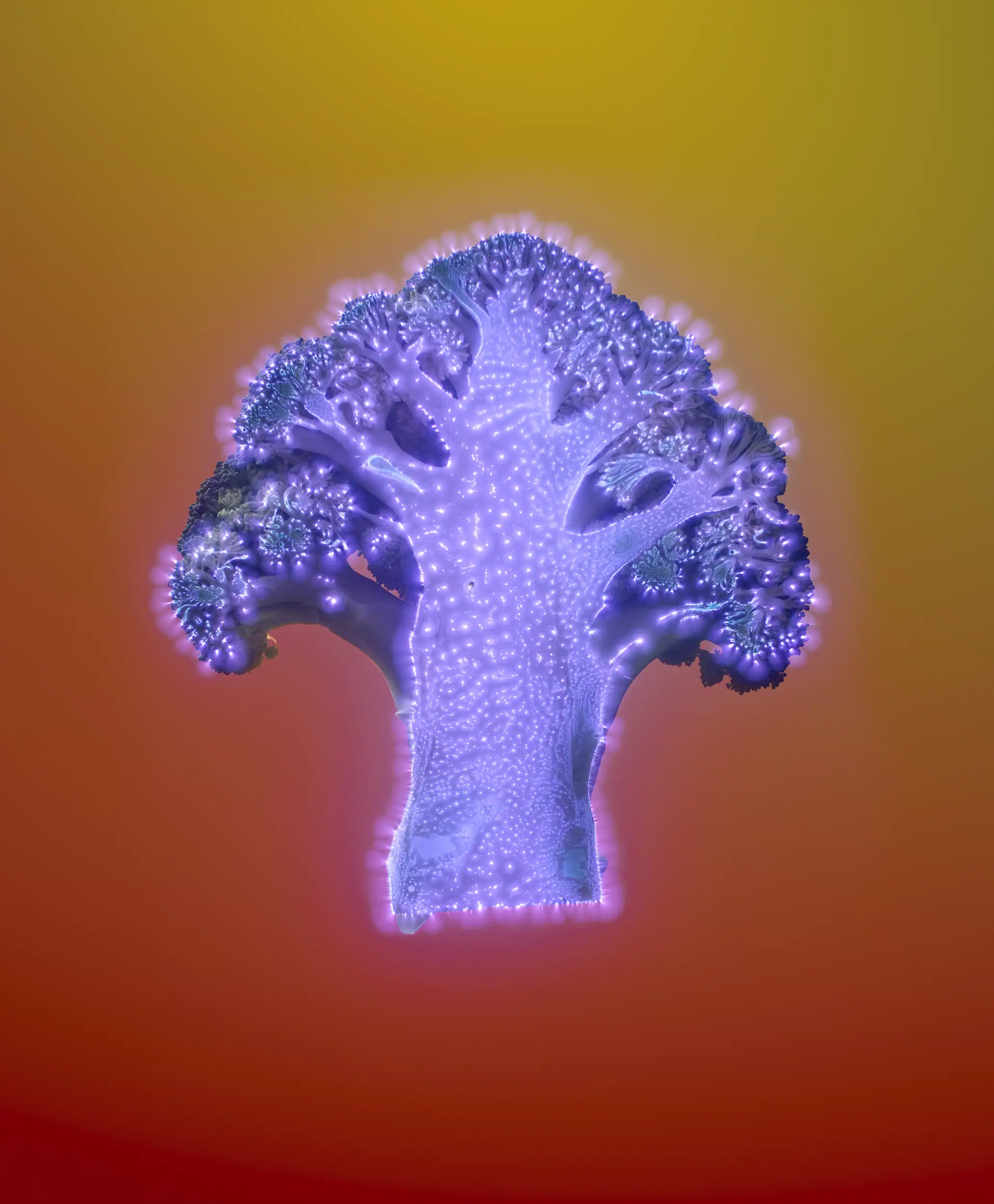 Kirlian Food Photography by still life photographer Jonathan Knowles