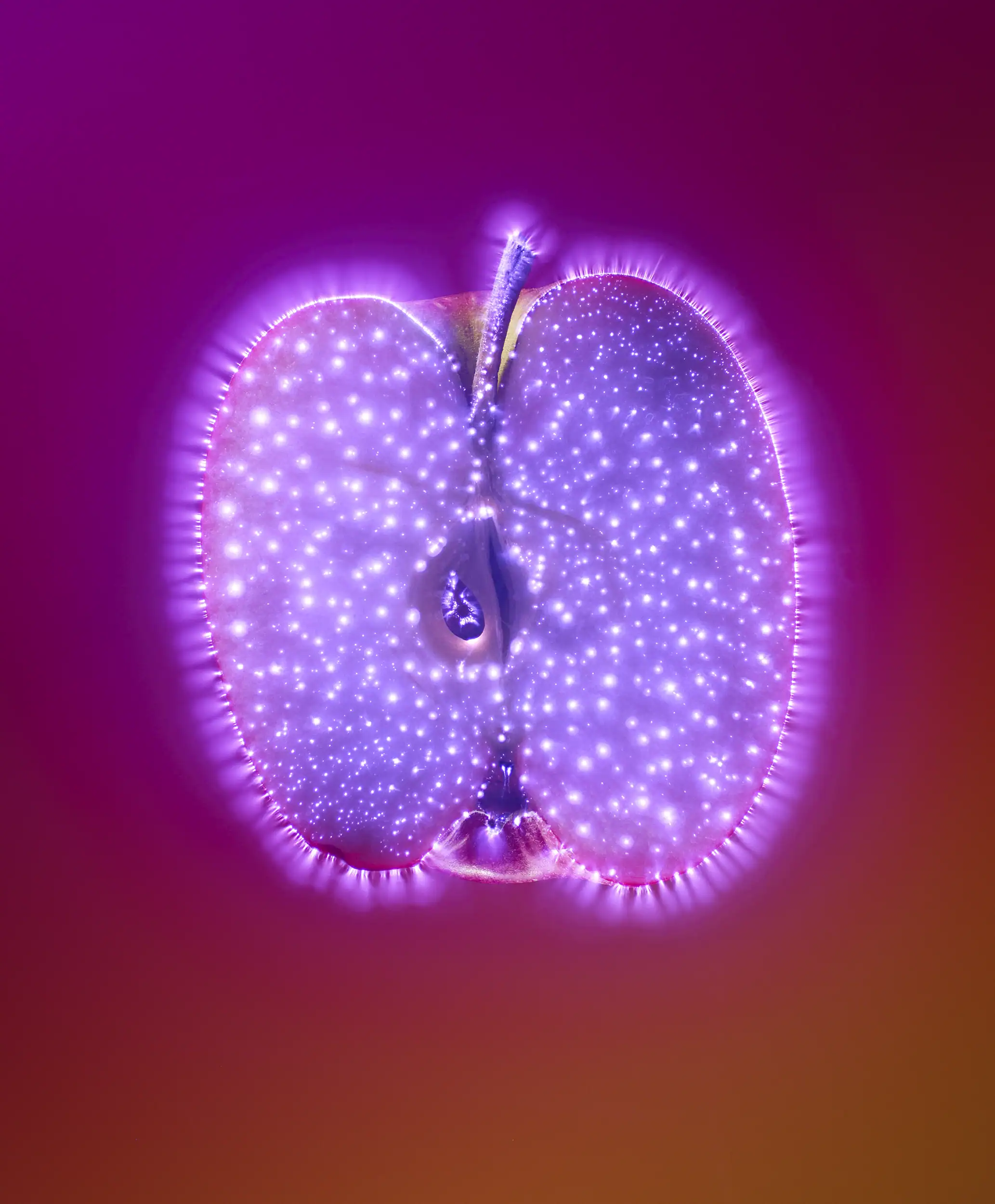 Kirlian apple by kirlian food photographer Jonathan Knowles