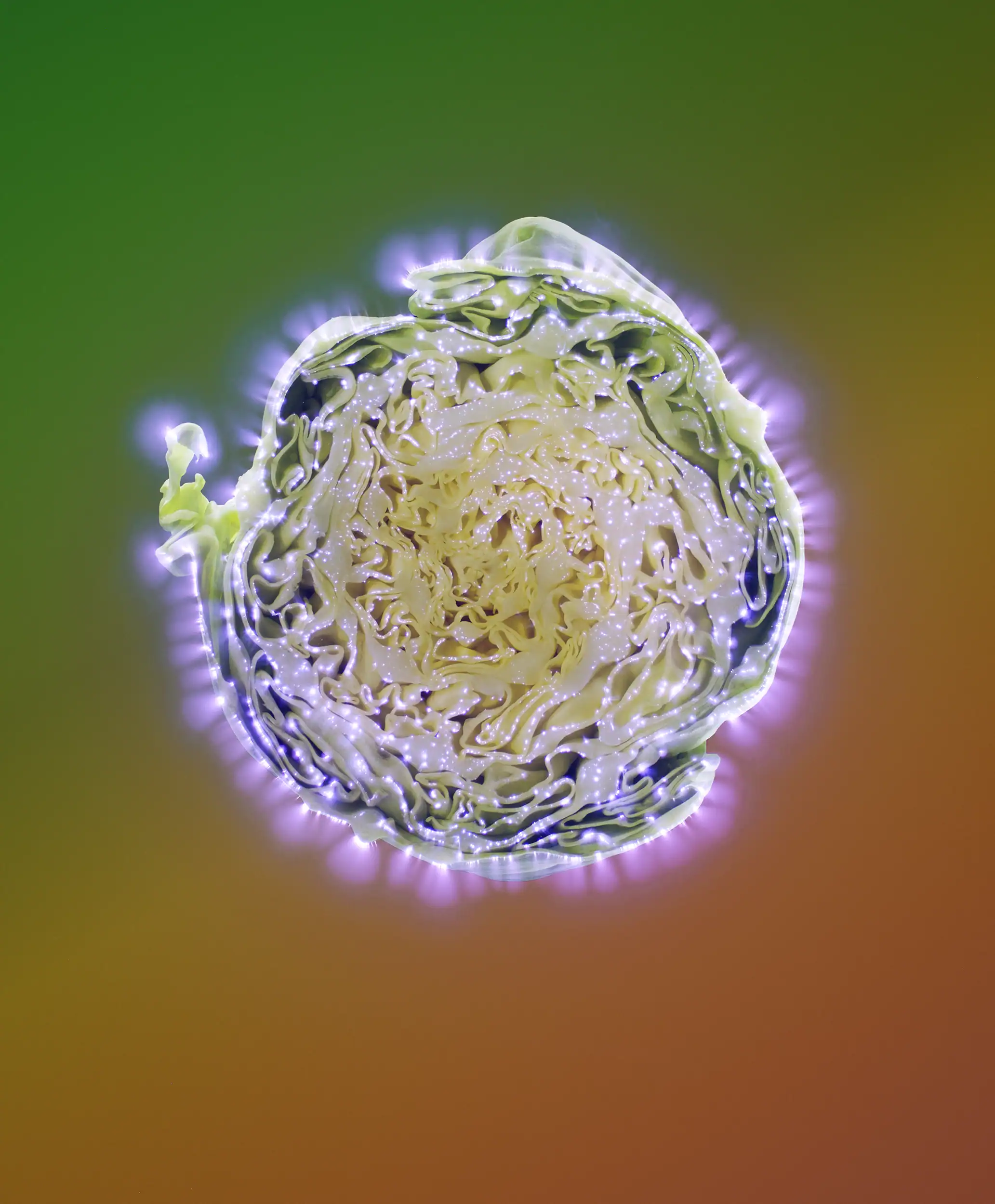 Kirlian Photography by food photographer Jonathan Knowles