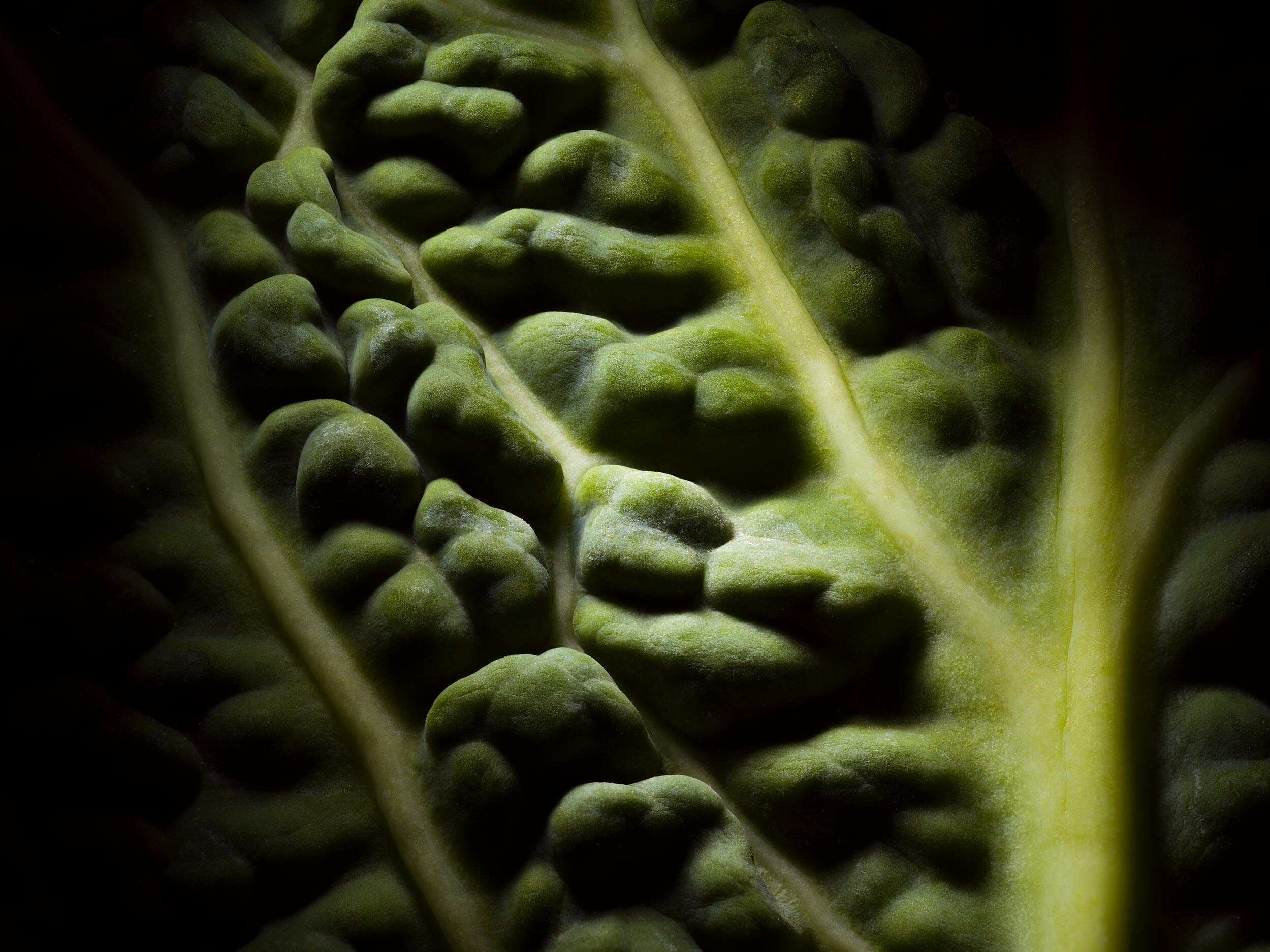 Macro image of a cabbage by food photographer Jonathan Knowles.