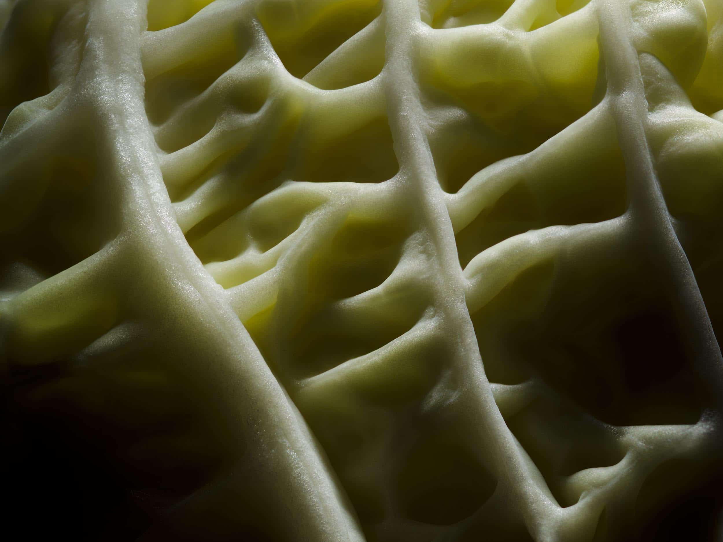 Close-up of a Savoy Cabbage by still life photographer Jonathan Knowles.